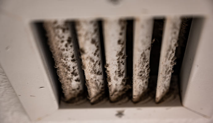 mold in furnace